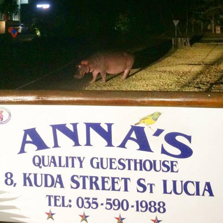 Annas Bed And Breakfast Saint Lucia Estuary Esterno foto